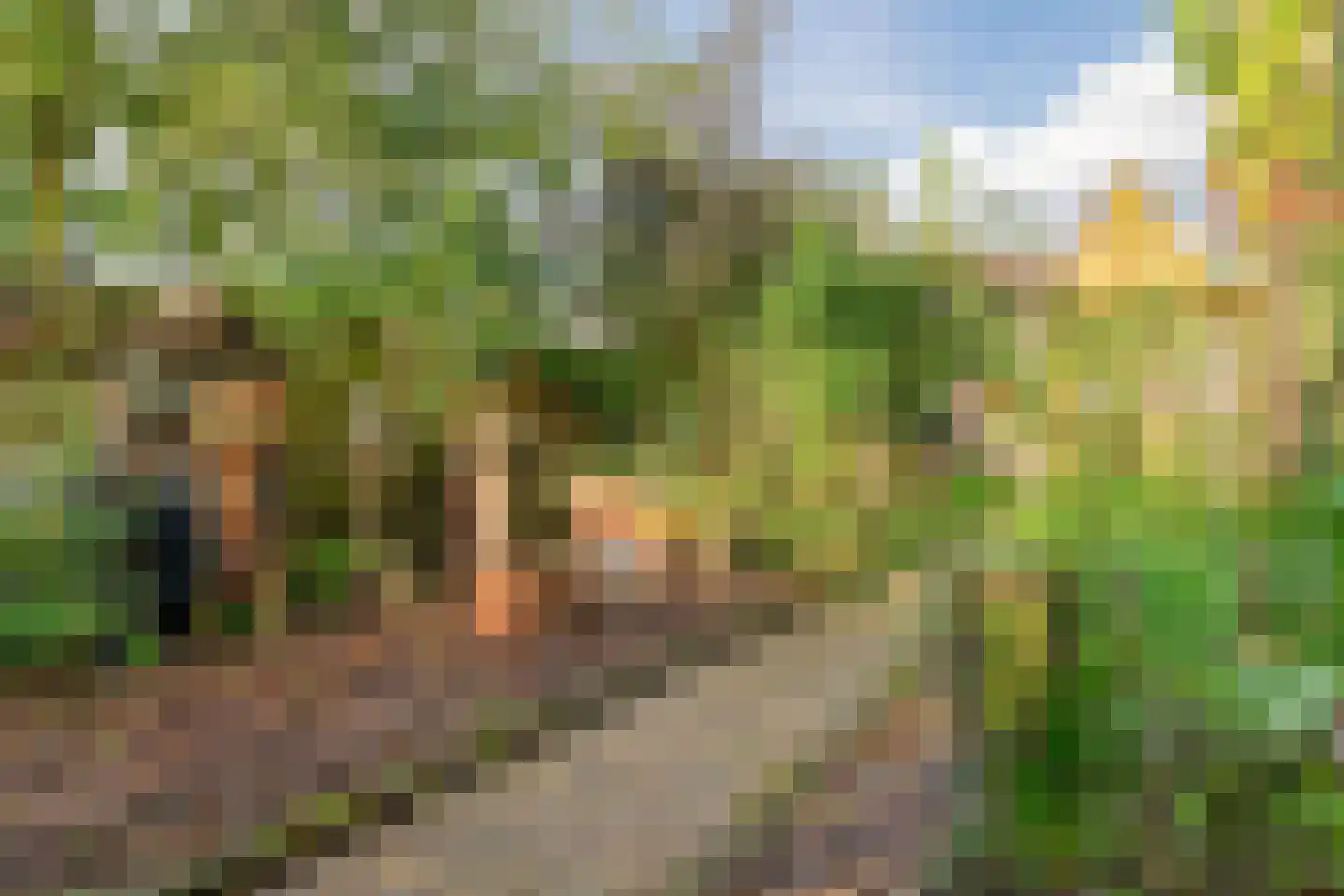 Molenstraat 9 Stedum thumbnail 49
