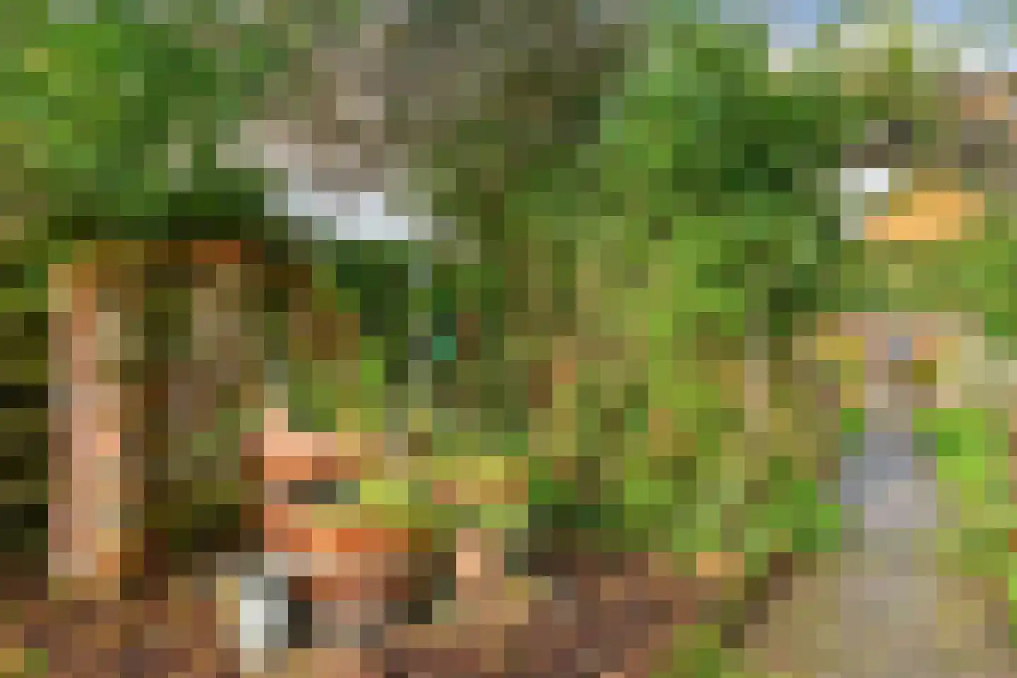 Molenstraat 9 Stedum thumbnail 50