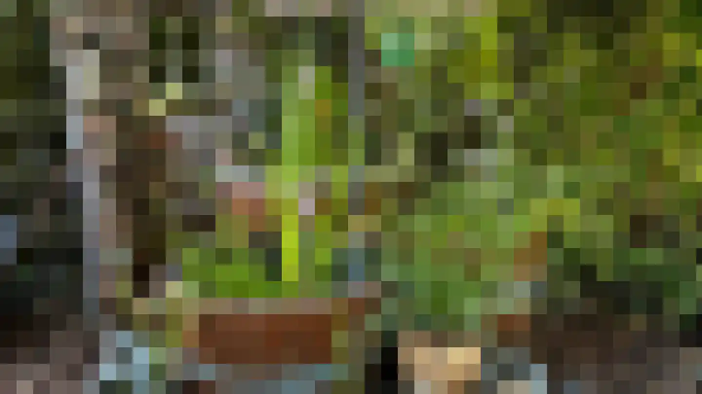 Molenstraat 9 Stedum thumbnail 51