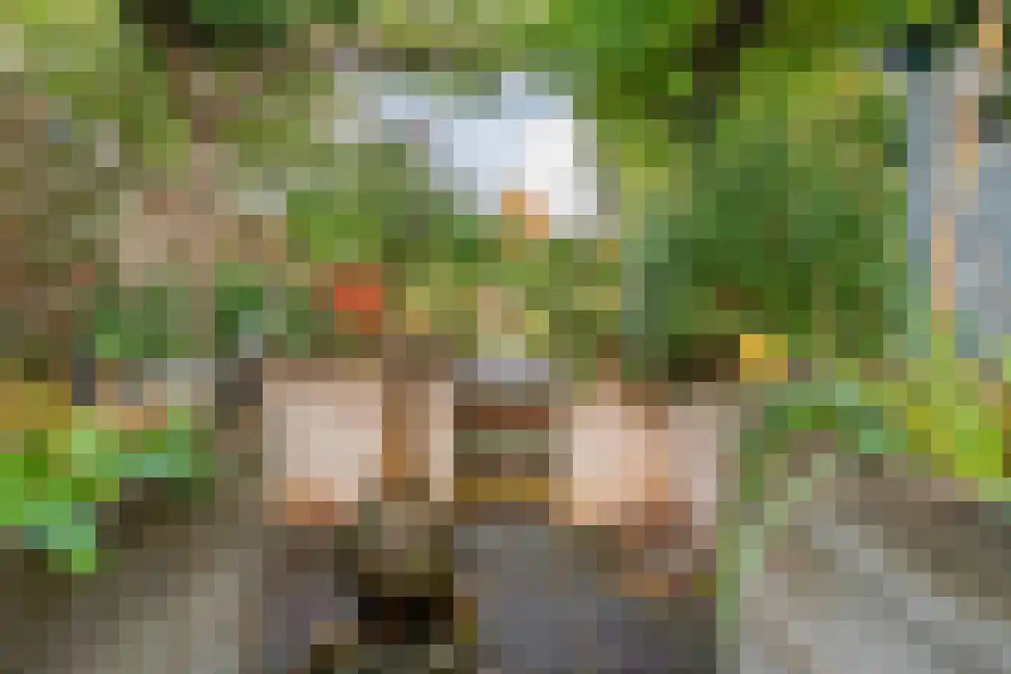 Molenstraat 9 Stedum thumbnail 54