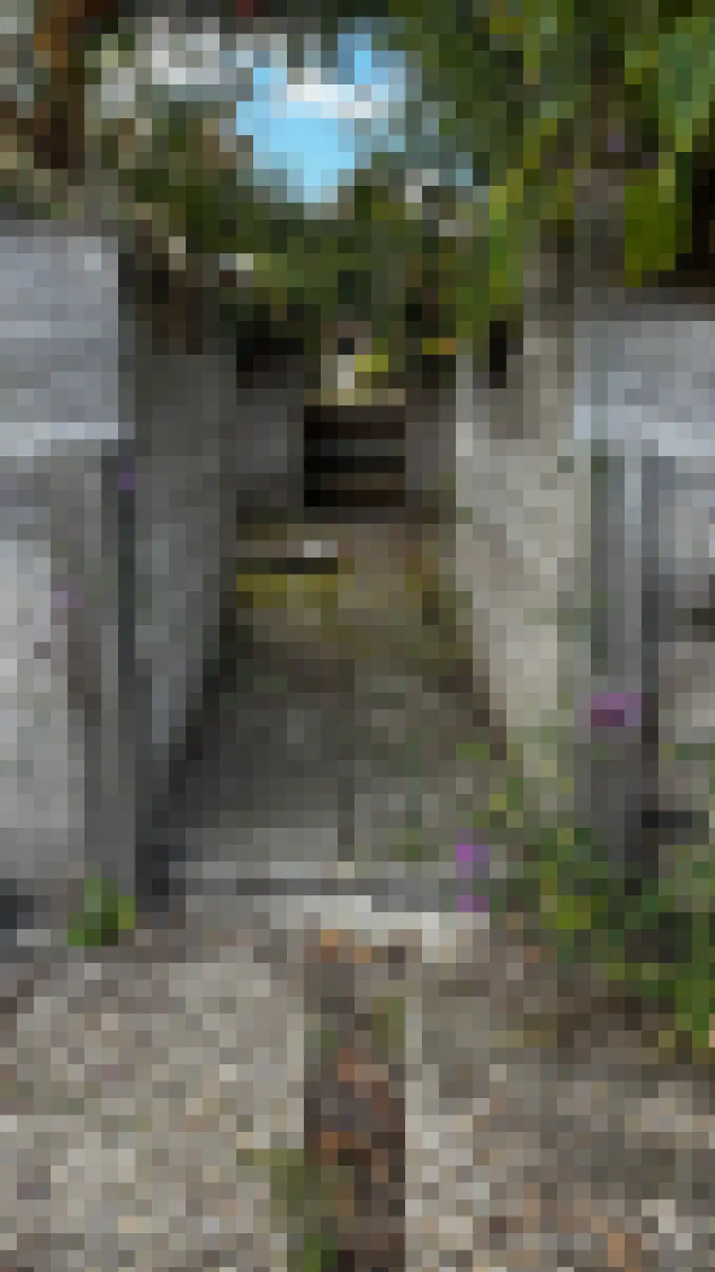 Molenstraat 9 Stedum thumbnail 55