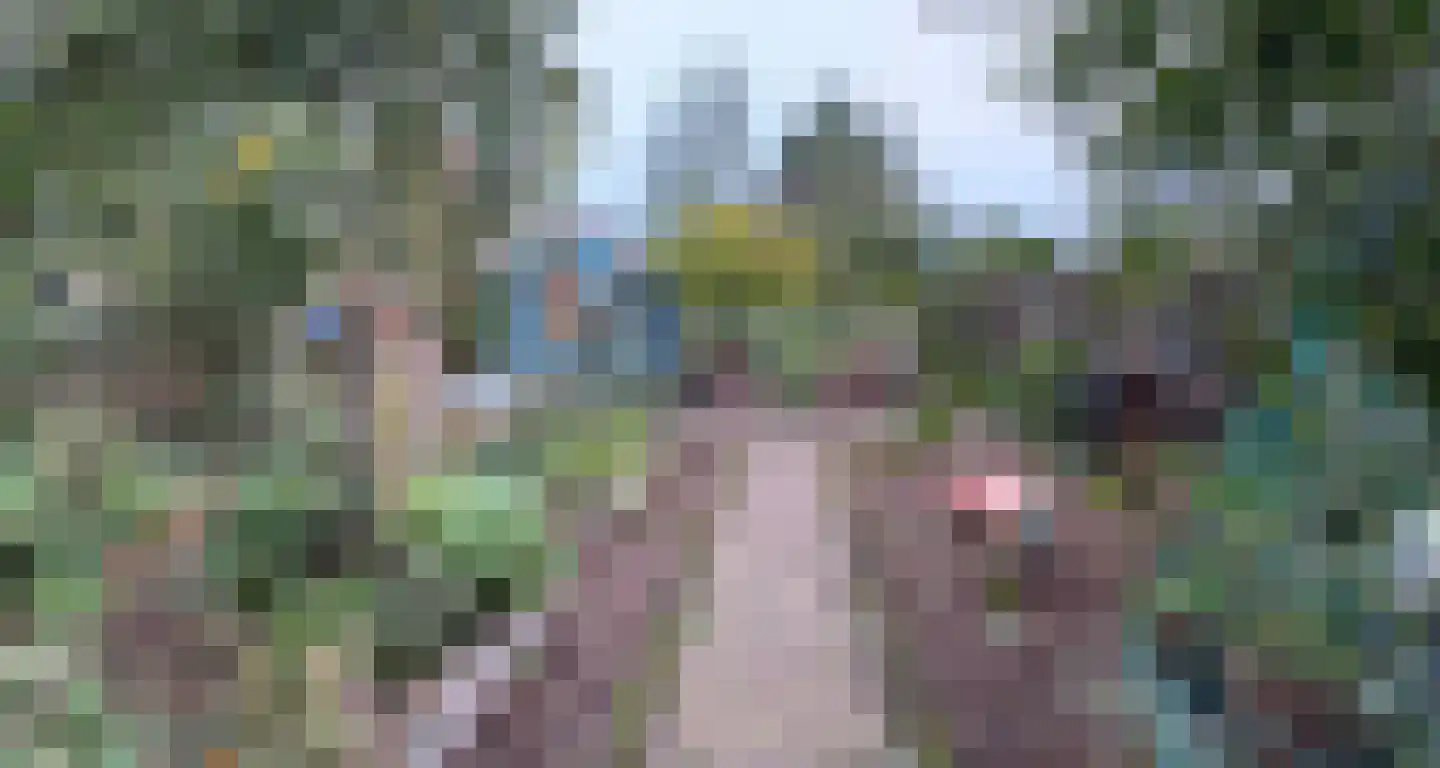 Molenstraat 9 Stedum thumbnail 58