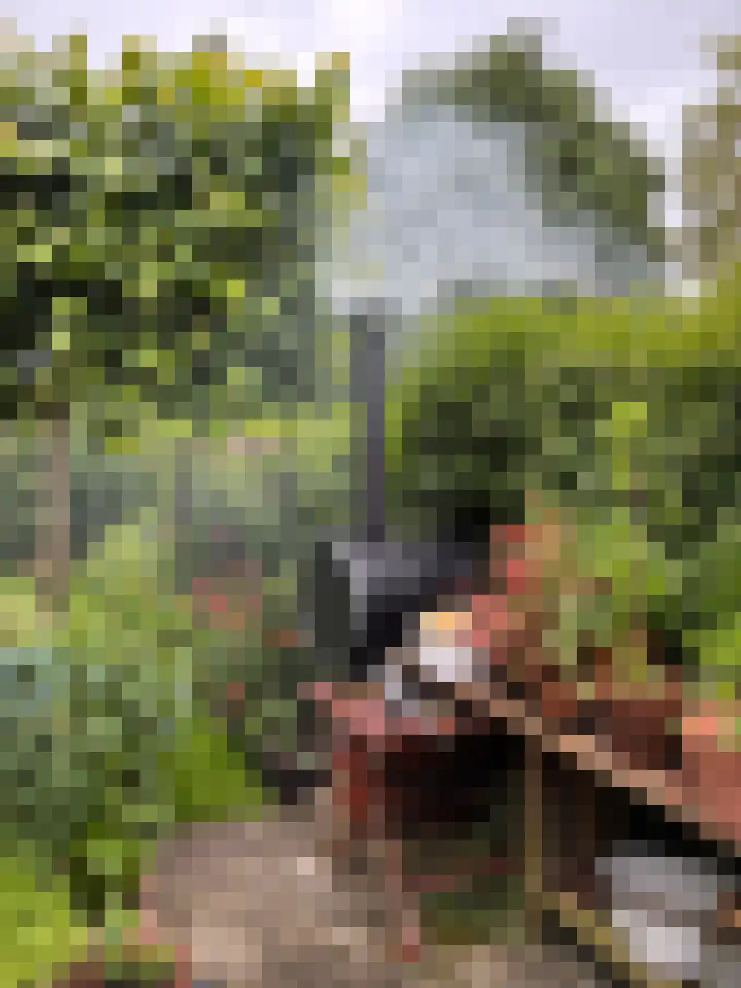 Molenstraat 9 Stedum thumbnail 60