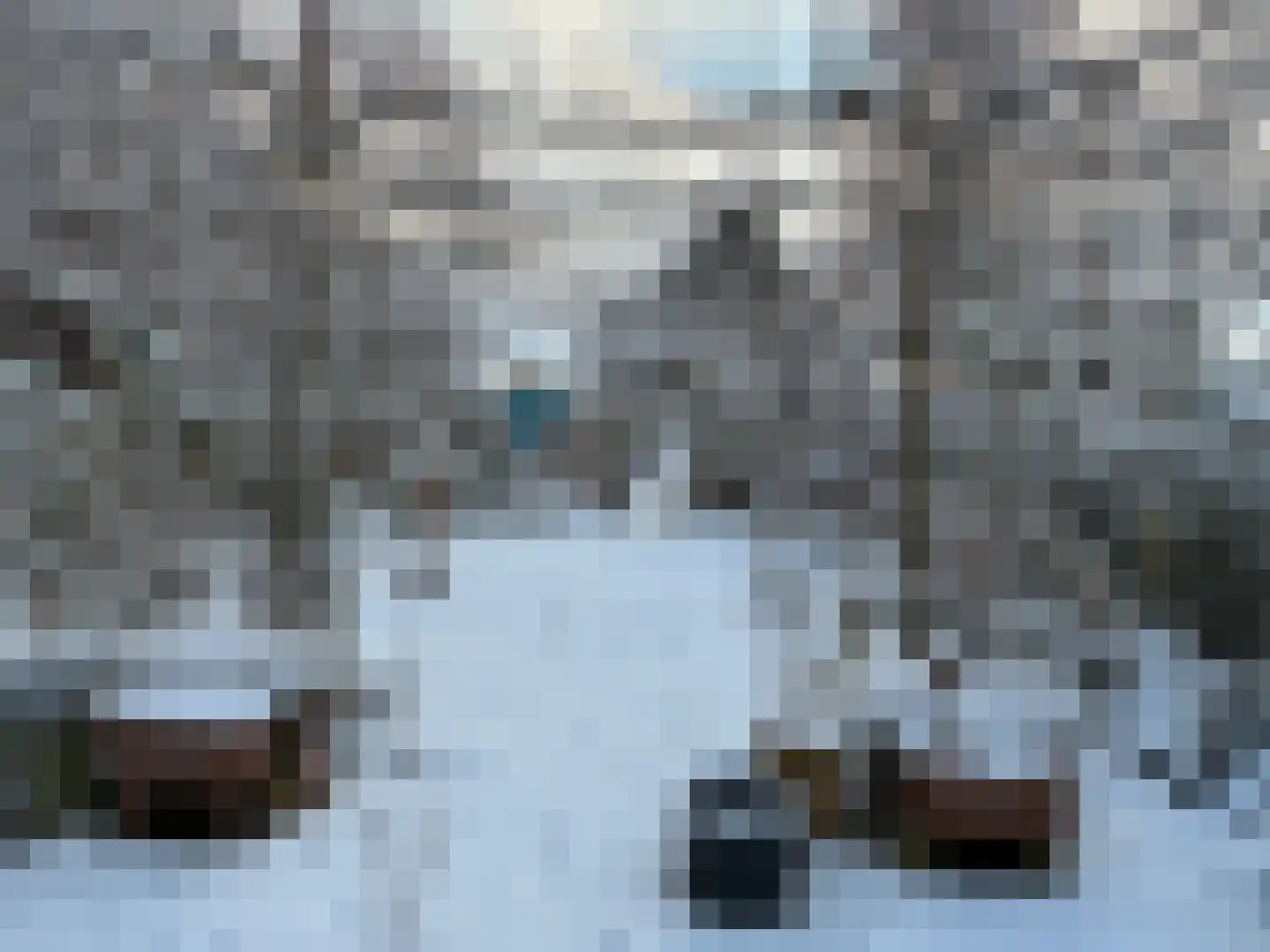 Molenstraat 9 Stedum thumbnail 62