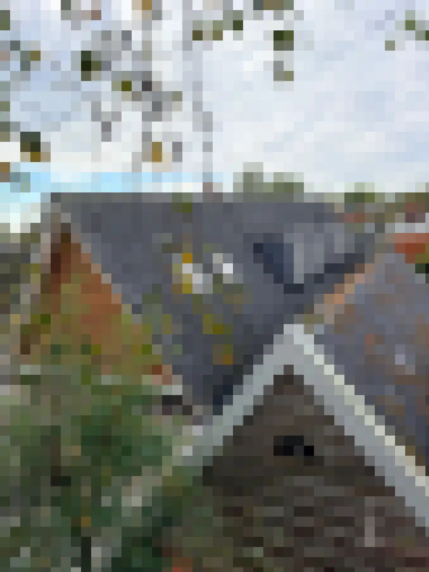 Molenstraat 9 Stedum thumbnail 65