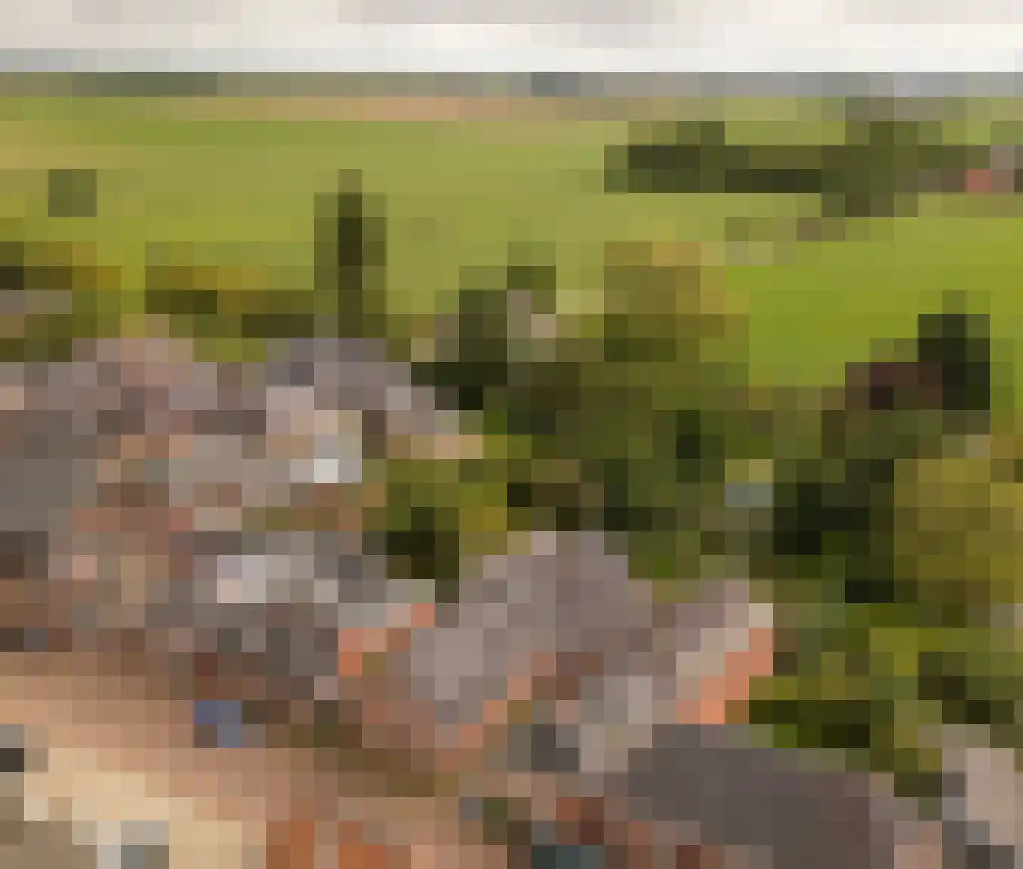 Molenstraat 9 Stedum thumbnail 67