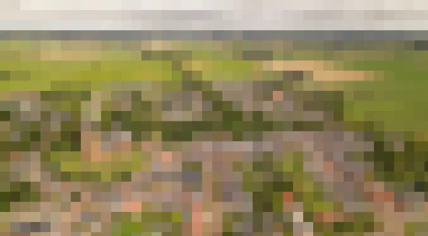 Molenstraat 9 Stedum thumbnail 68