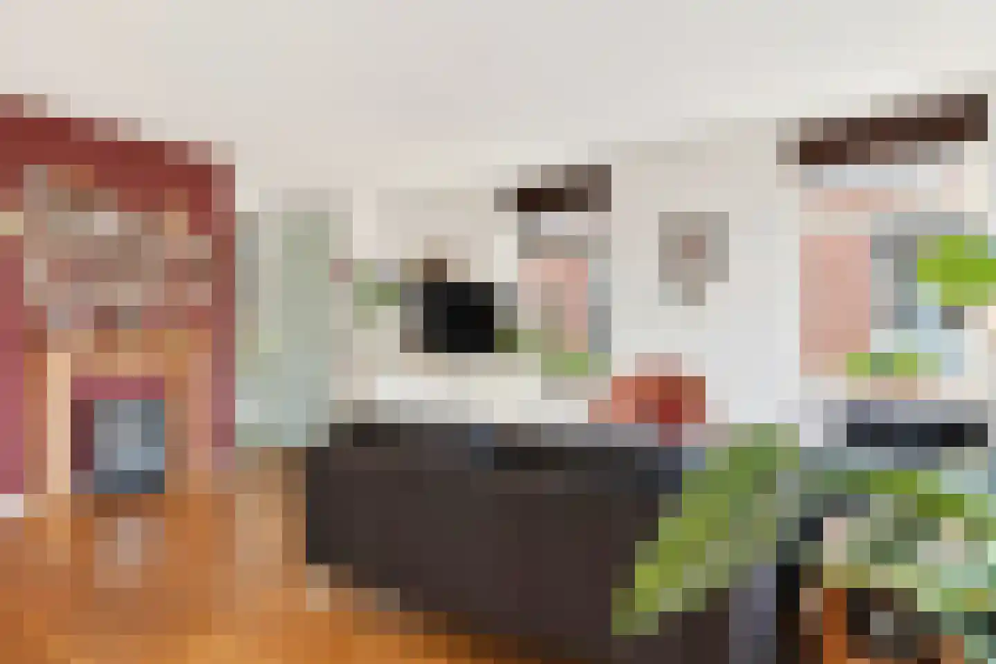 Molenstraat 9 Stedum thumbnail 8