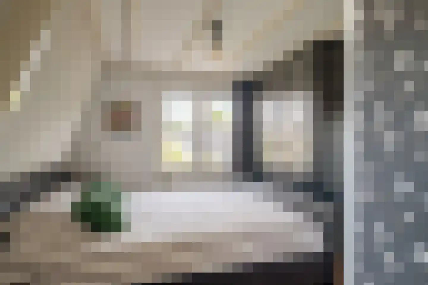 Molenstraat 90 Losser thumbnail 20