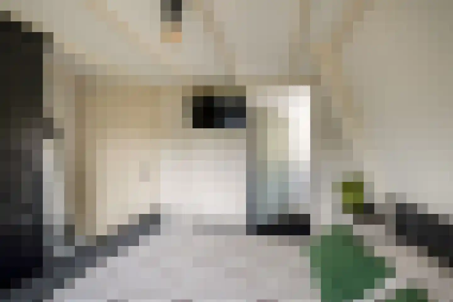 Molenstraat 90 Losser thumbnail 21