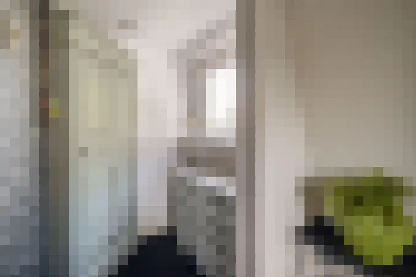 Molenstraat 90 Losser thumbnail 22