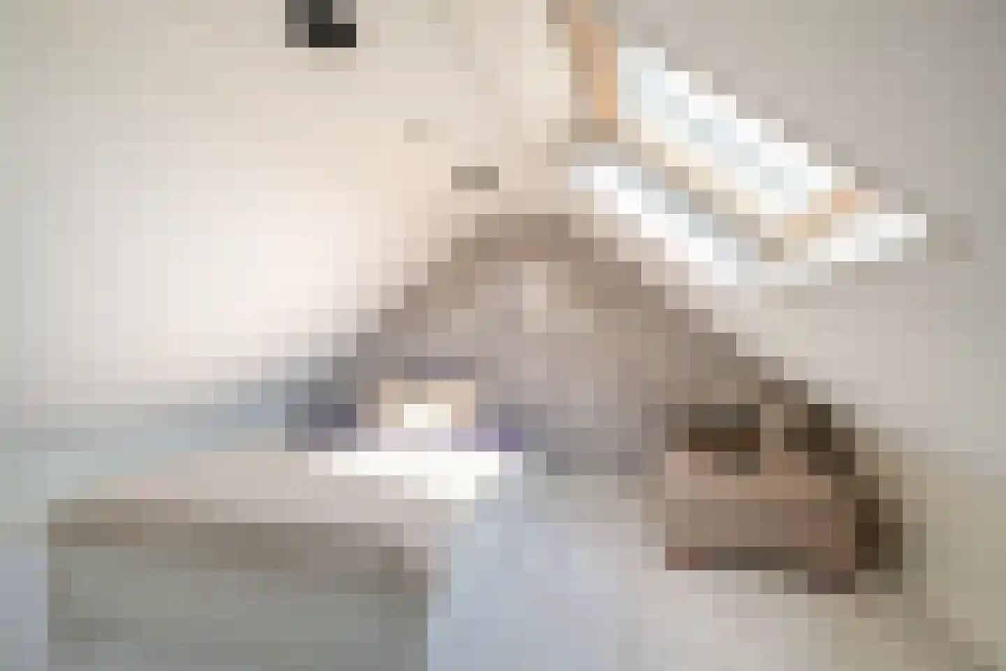 Molenstraat 90 Losser thumbnail 27