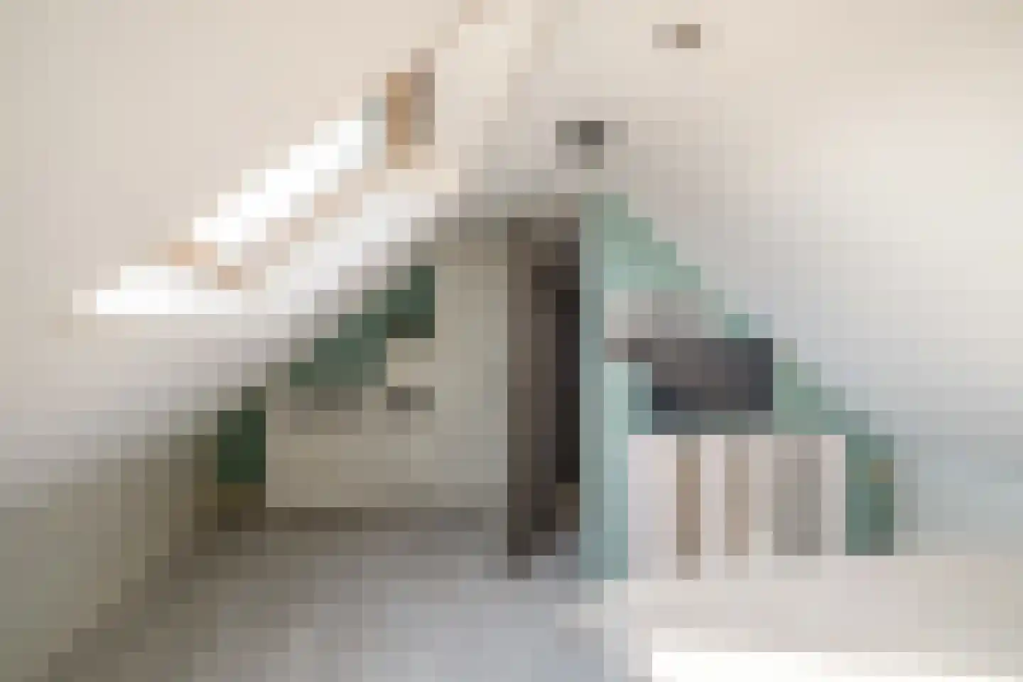 Molenstraat 90 Losser thumbnail 28