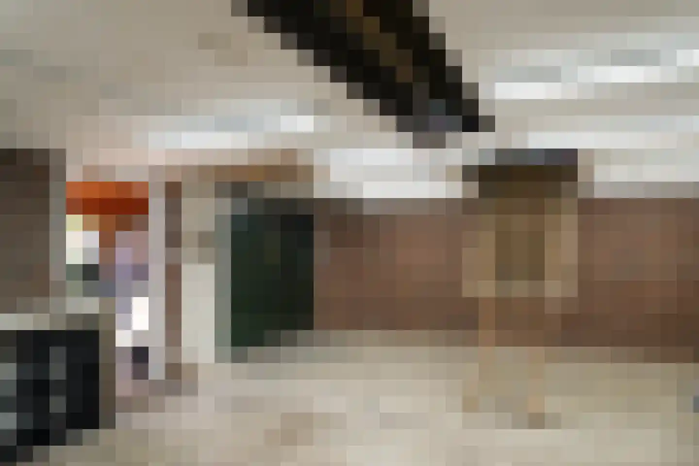 Molenstraat 90 Losser thumbnail 29
