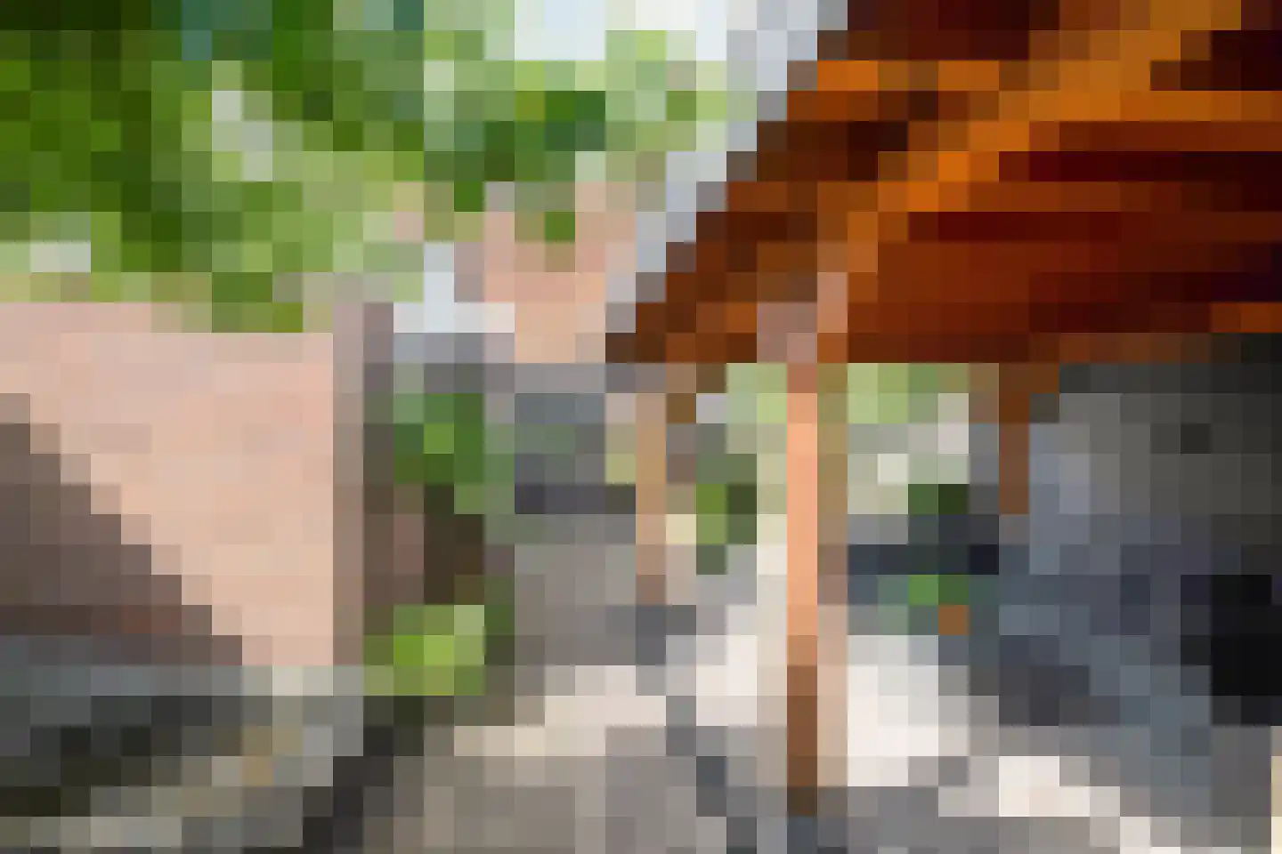Molenstraat 90 Losser thumbnail 33