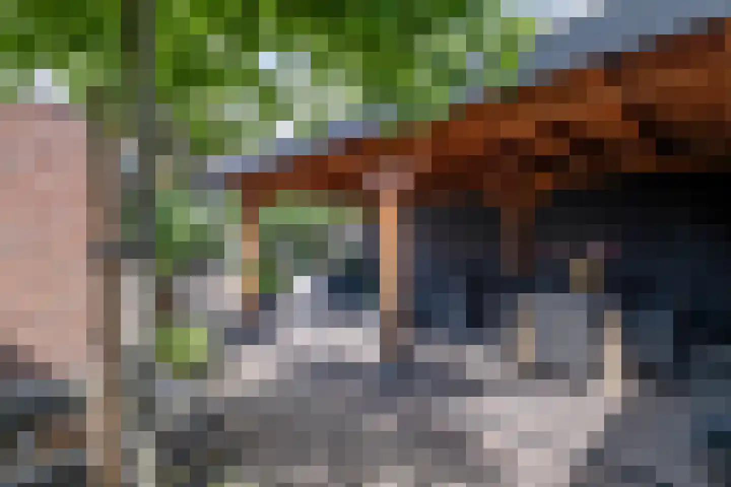 Molenstraat 90 Losser thumbnail 34