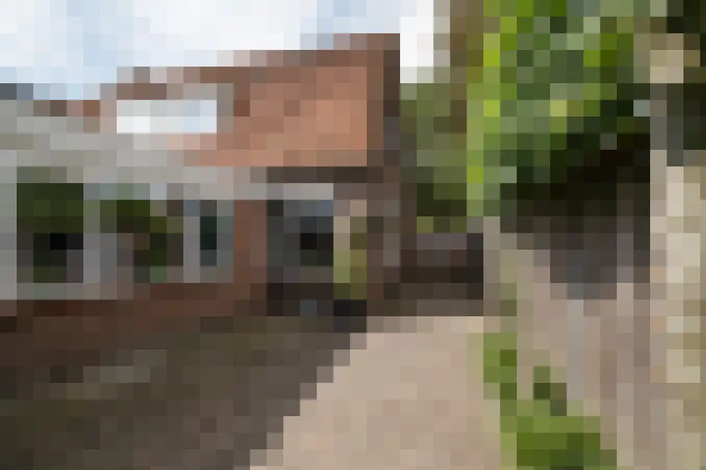 Molenstraat 90 Losser thumbnail 36