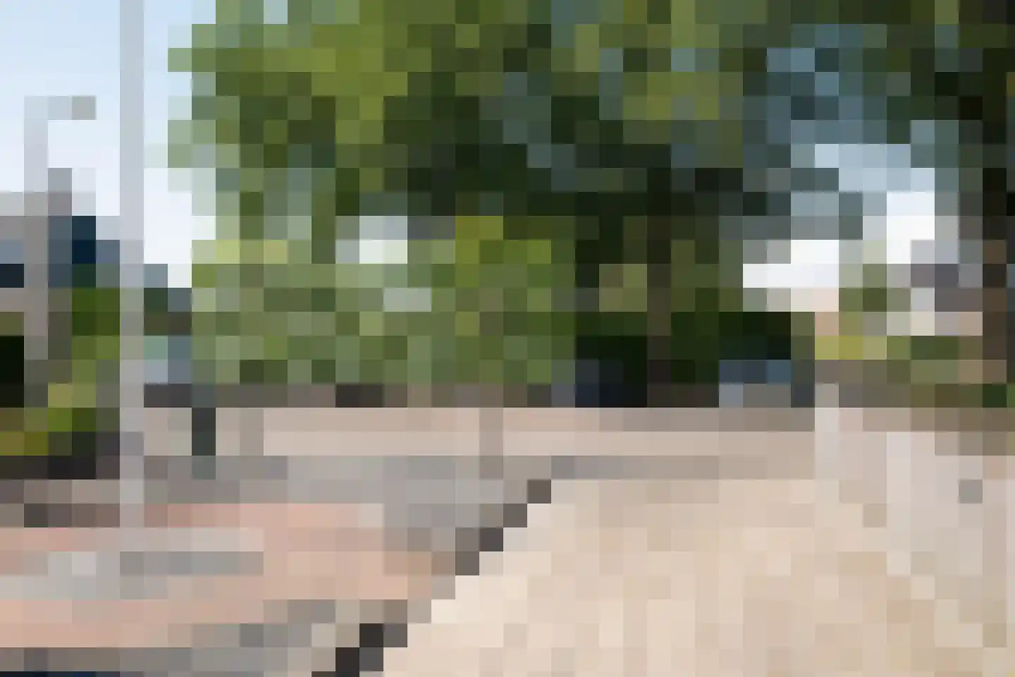 Molenstraat 90 Losser thumbnail 37