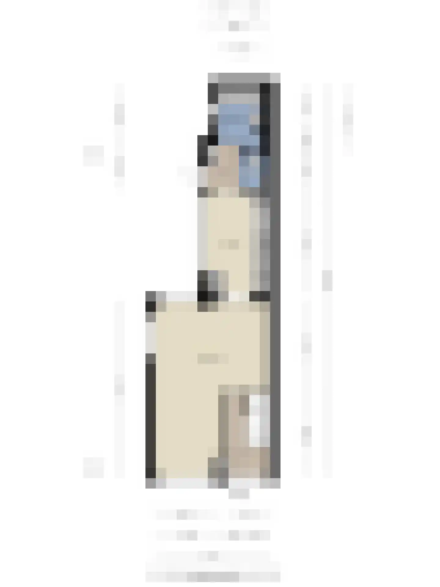 Molenstraat 90 Losser thumbnail 39