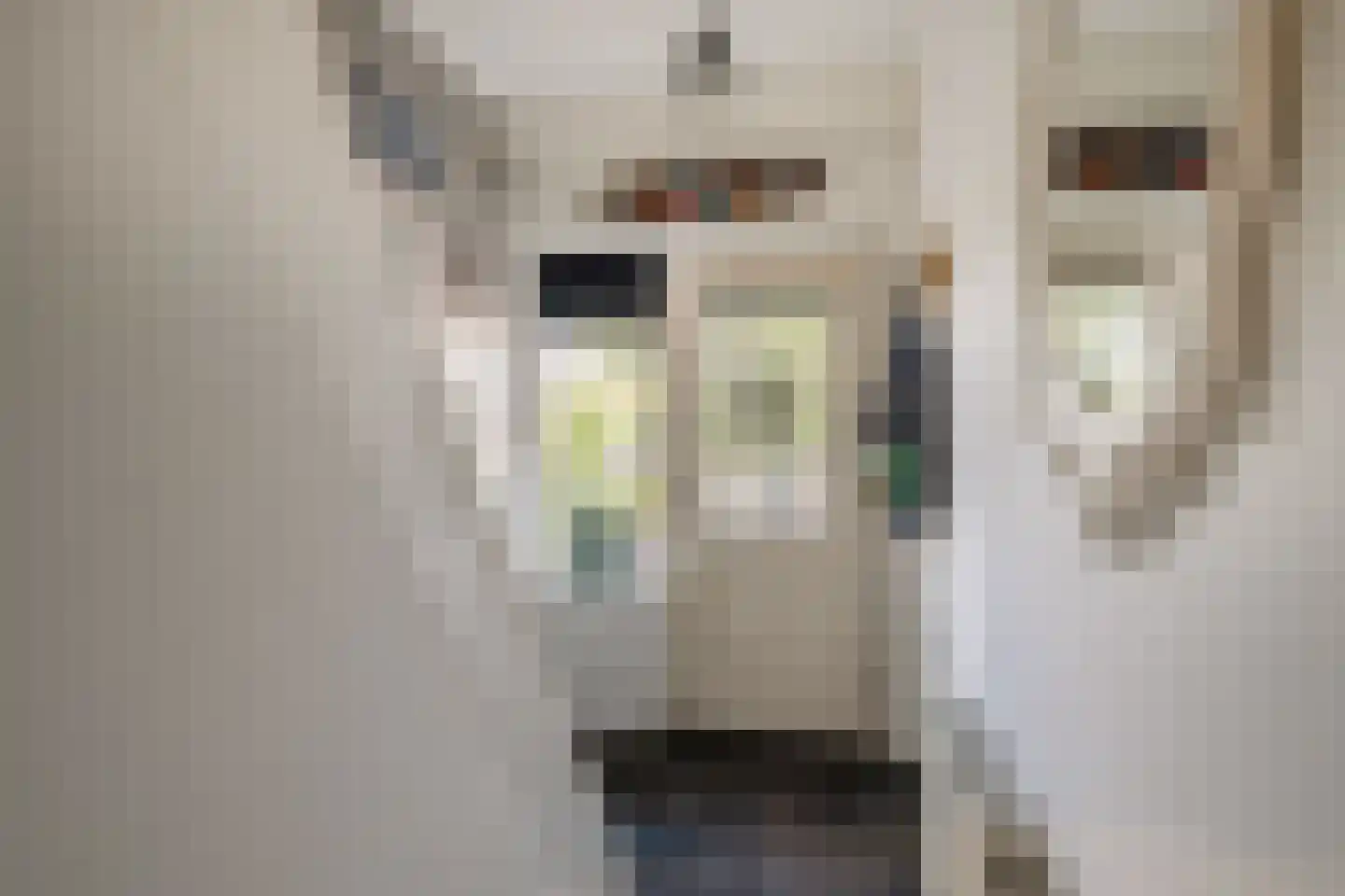 Molenstraat 90 Losser thumbnail 7
