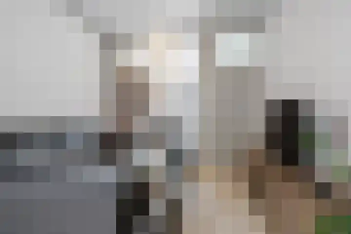 Molenstraat 91 Oudenbosch thumbnail 15