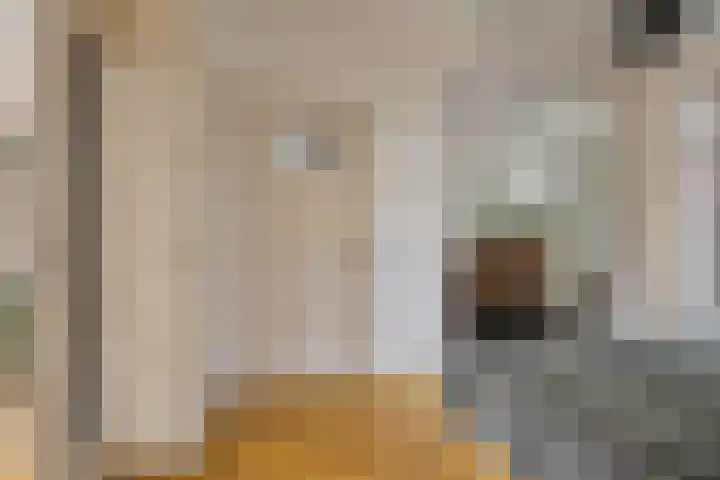 Molenstraat 92 Boxtel thumbnail 21
