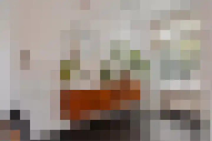 Molenstraat 92 Boxtel thumbnail 24