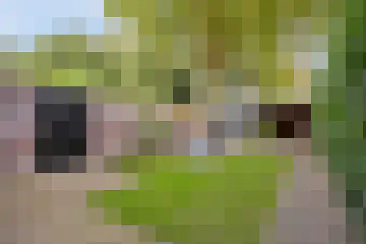 Molenstraat 92 Boxtel thumbnail 4
