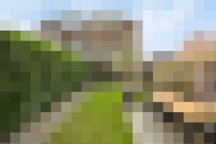 Molenstraat 92 Boxtel thumbnail 47