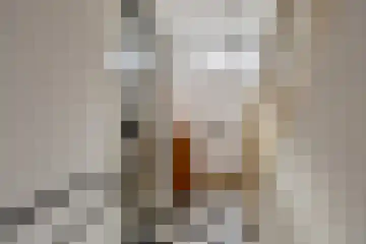 Molenstraat 92 Boxtel thumbnail 6