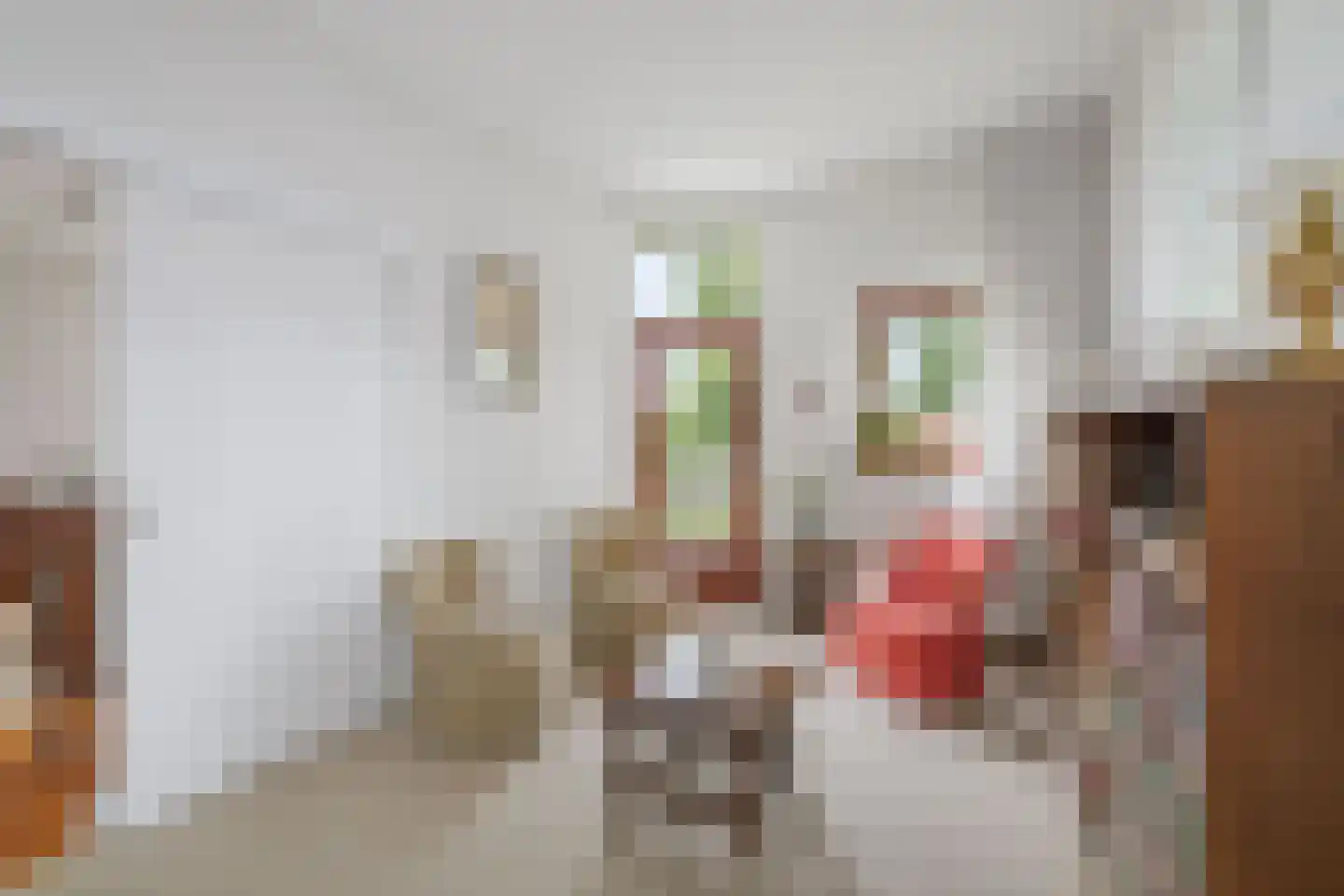 Molenstraat 92 Twello thumbnail 16