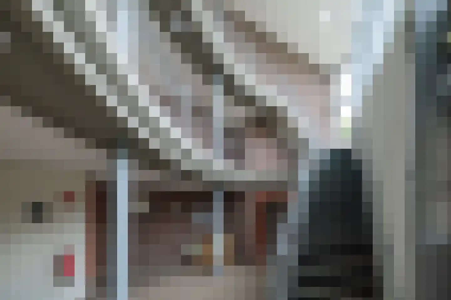 Molenstraat 92 Twello thumbnail 6
