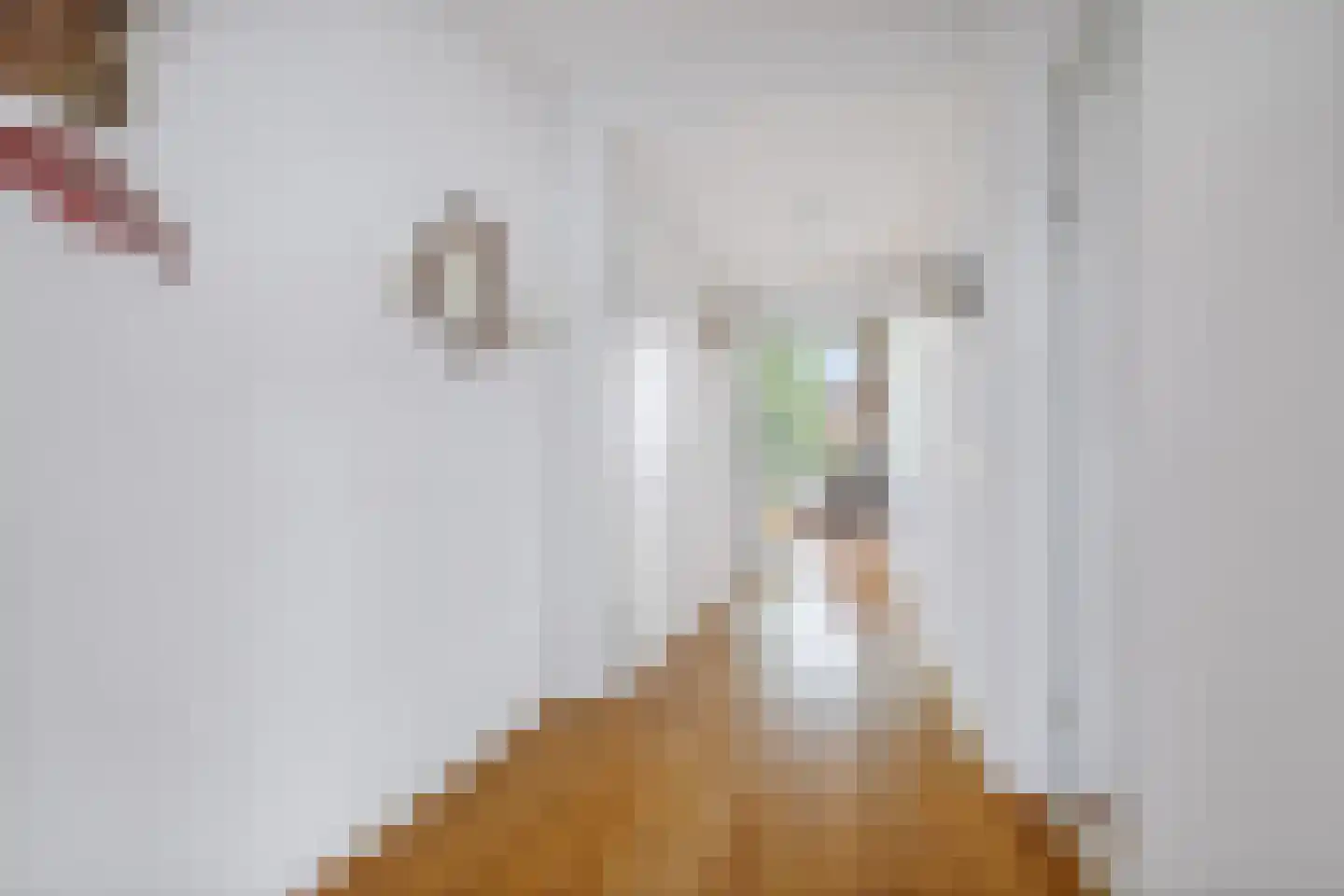 Molenstraat 92 Twello thumbnail 9