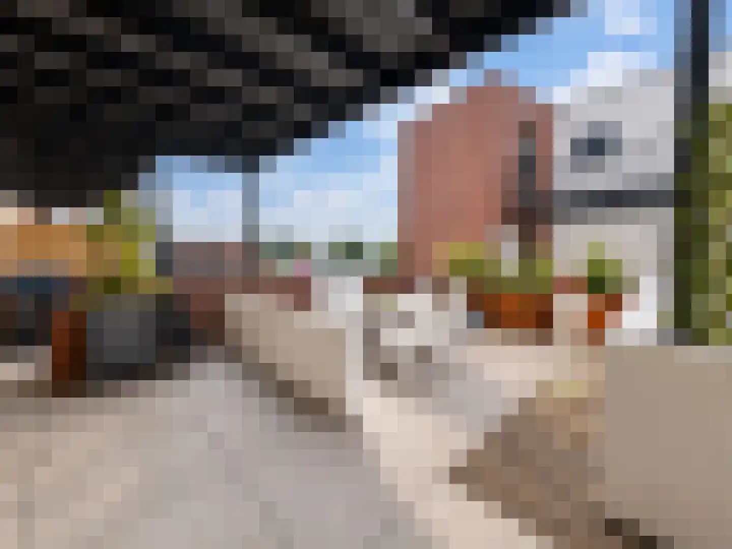 Molenstraat 95 a Zundert thumbnail 32