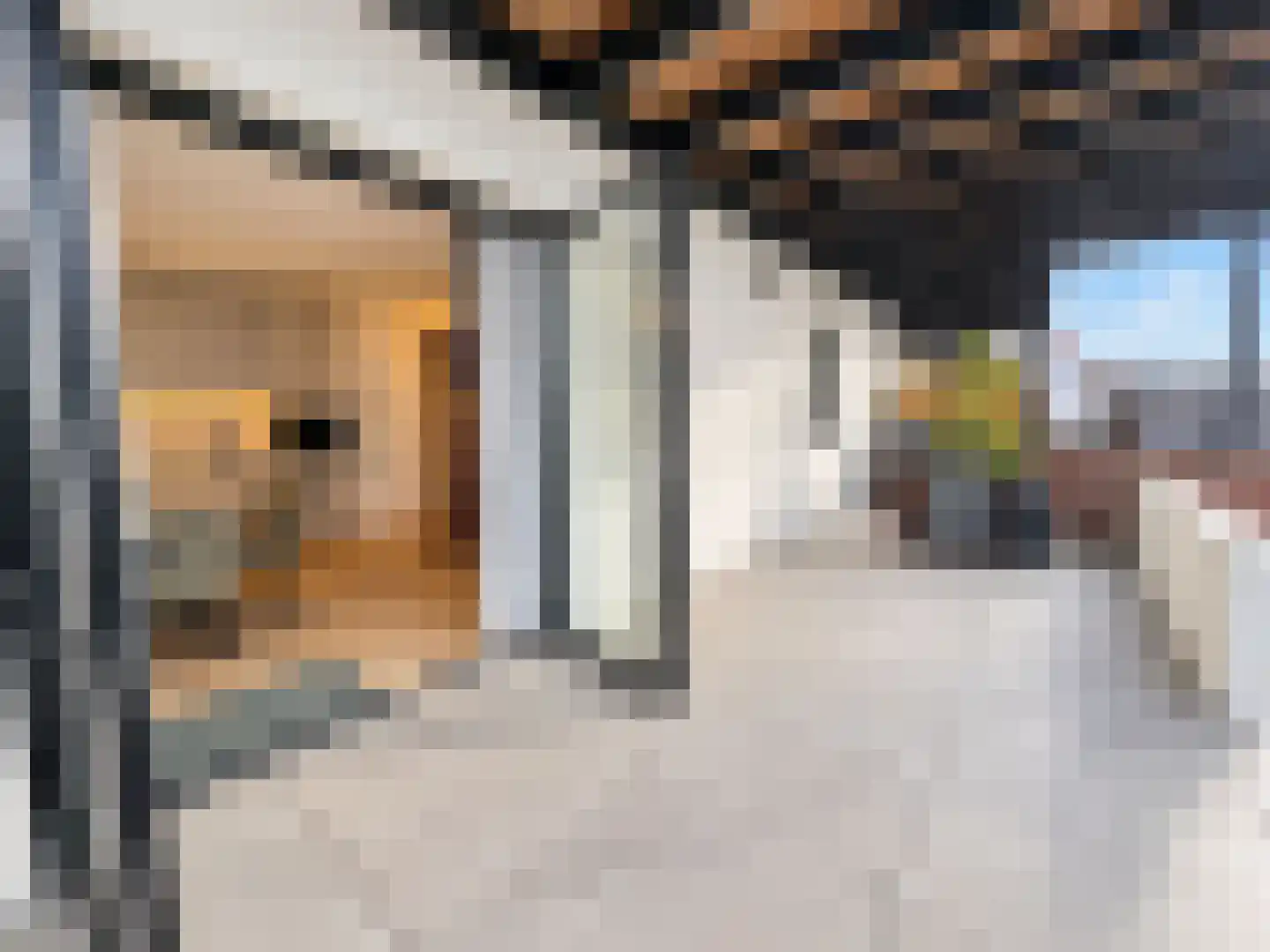 Molenstraat 95 a Zundert thumbnail 4