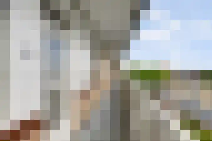 Molenstraat 95 Venlo thumbnail 18