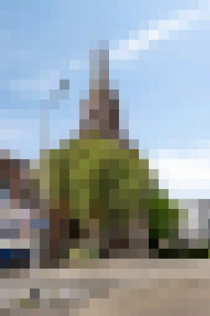 Molenstraat 98 06 Tilburg thumbnail 23