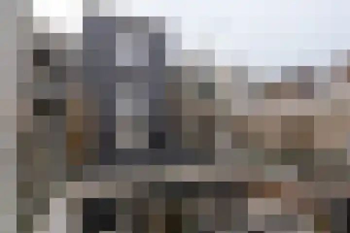 Molenstraat 98 A 2 Nijmegen thumbnail 15
