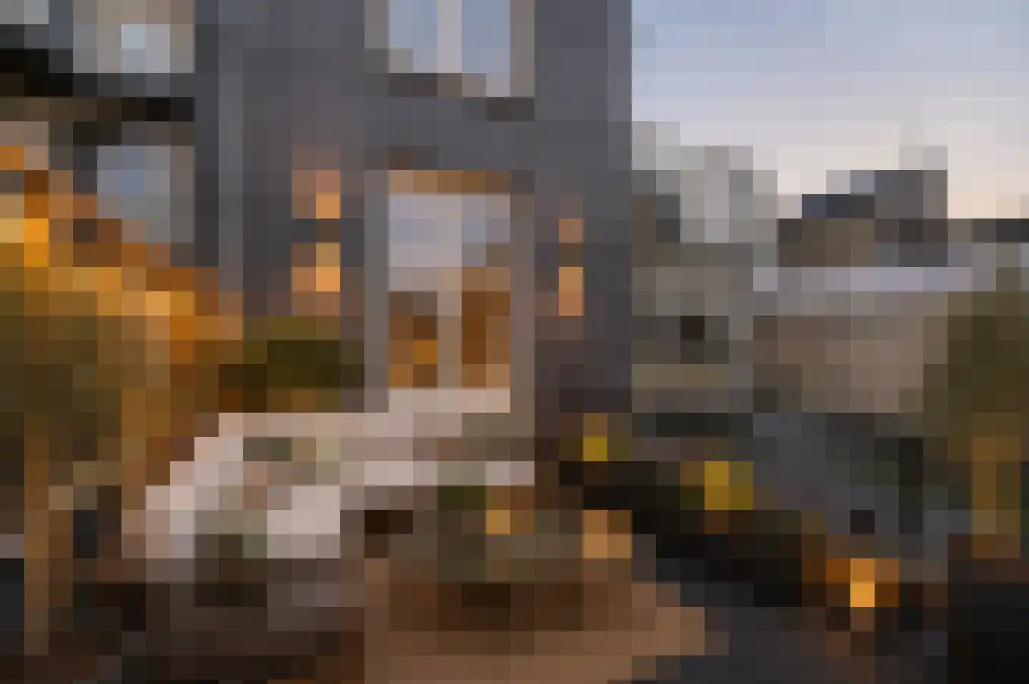 Molenstraat 98 A 4 Nijmegen thumbnail 8