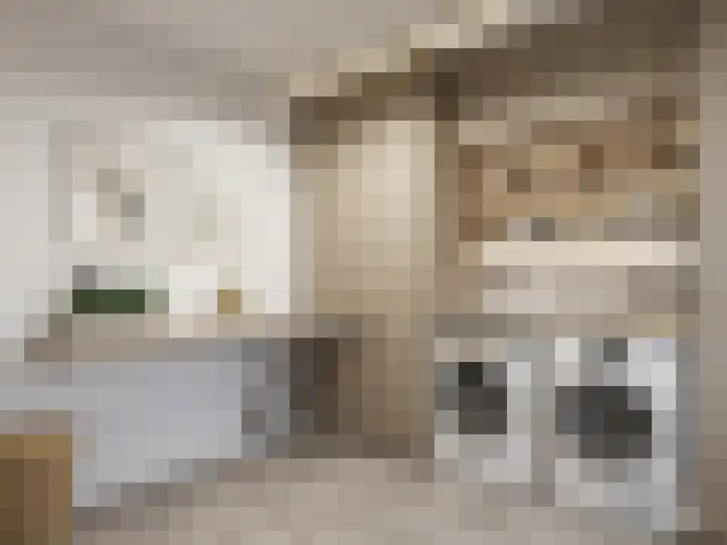 Molenstraat 98 C Ede thumbnail 11