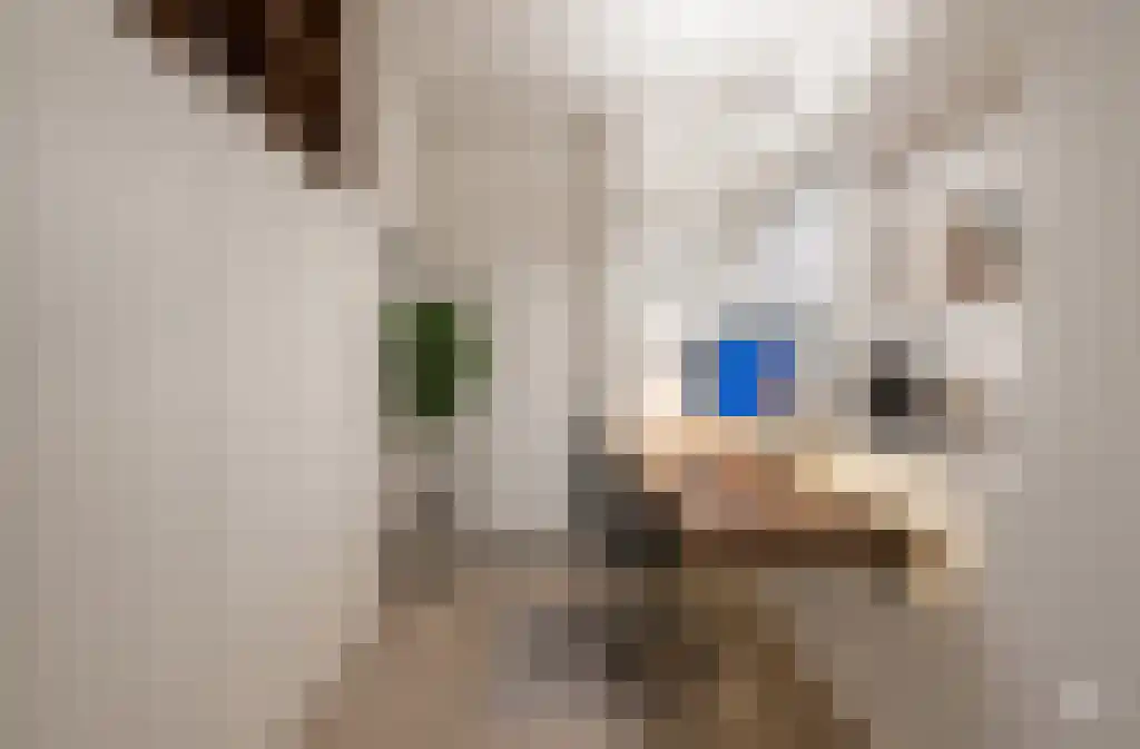 Molenstraat 98 C Ede thumbnail 9