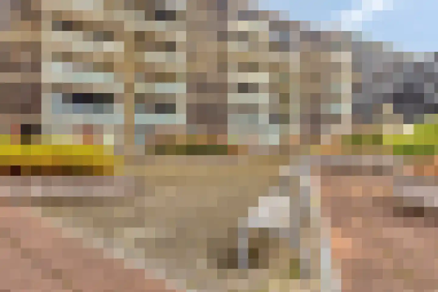 Molenstraat-Centrum 395 Apeldoorn thumbnail 33