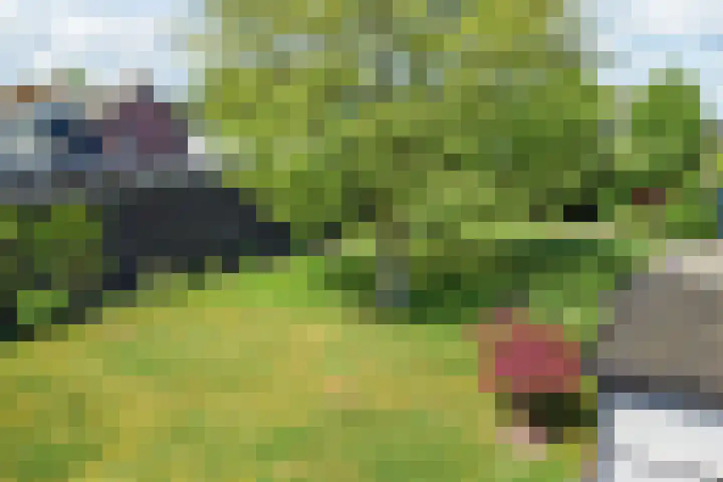 Molenstraat Hapert thumbnail 8