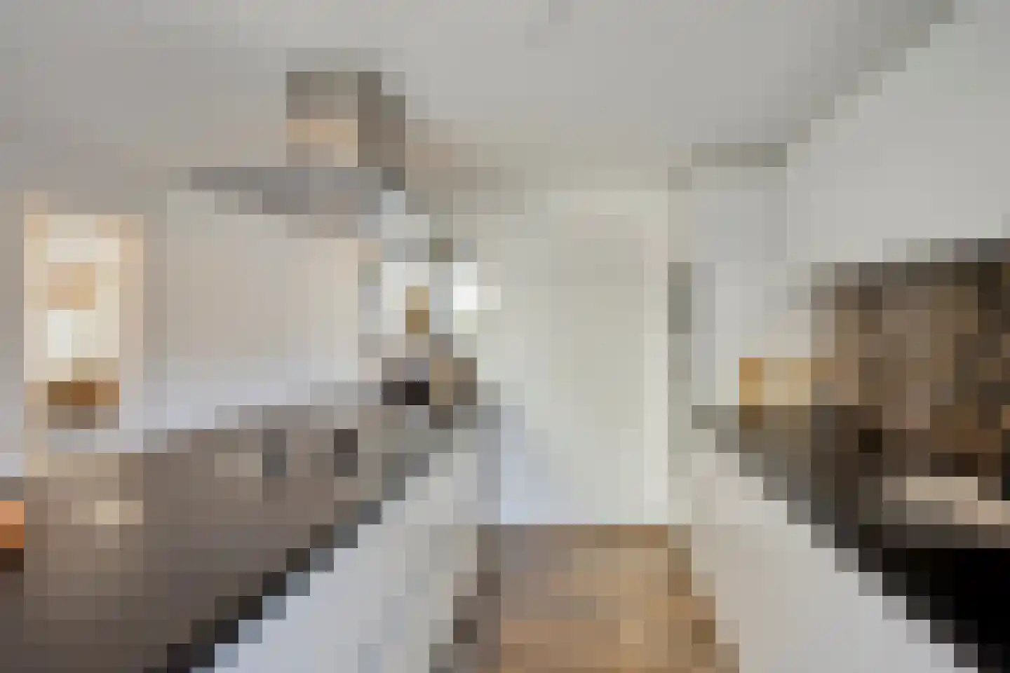 Molenstraat Noord 11 Stevensweert thumbnail 13