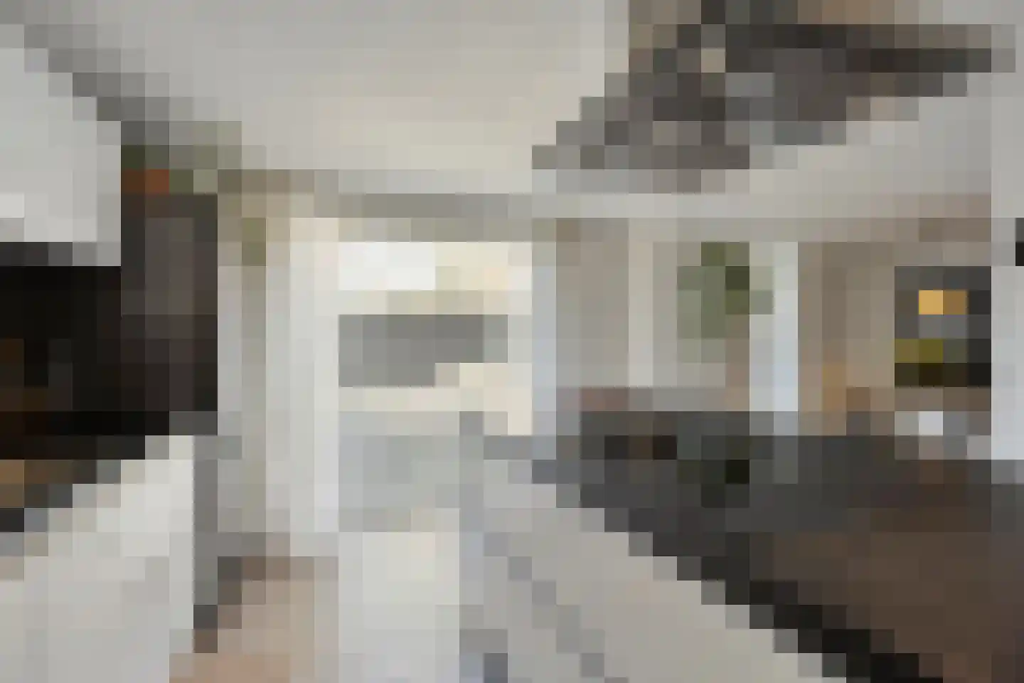 Molenstraat Noord 11 Stevensweert thumbnail 15