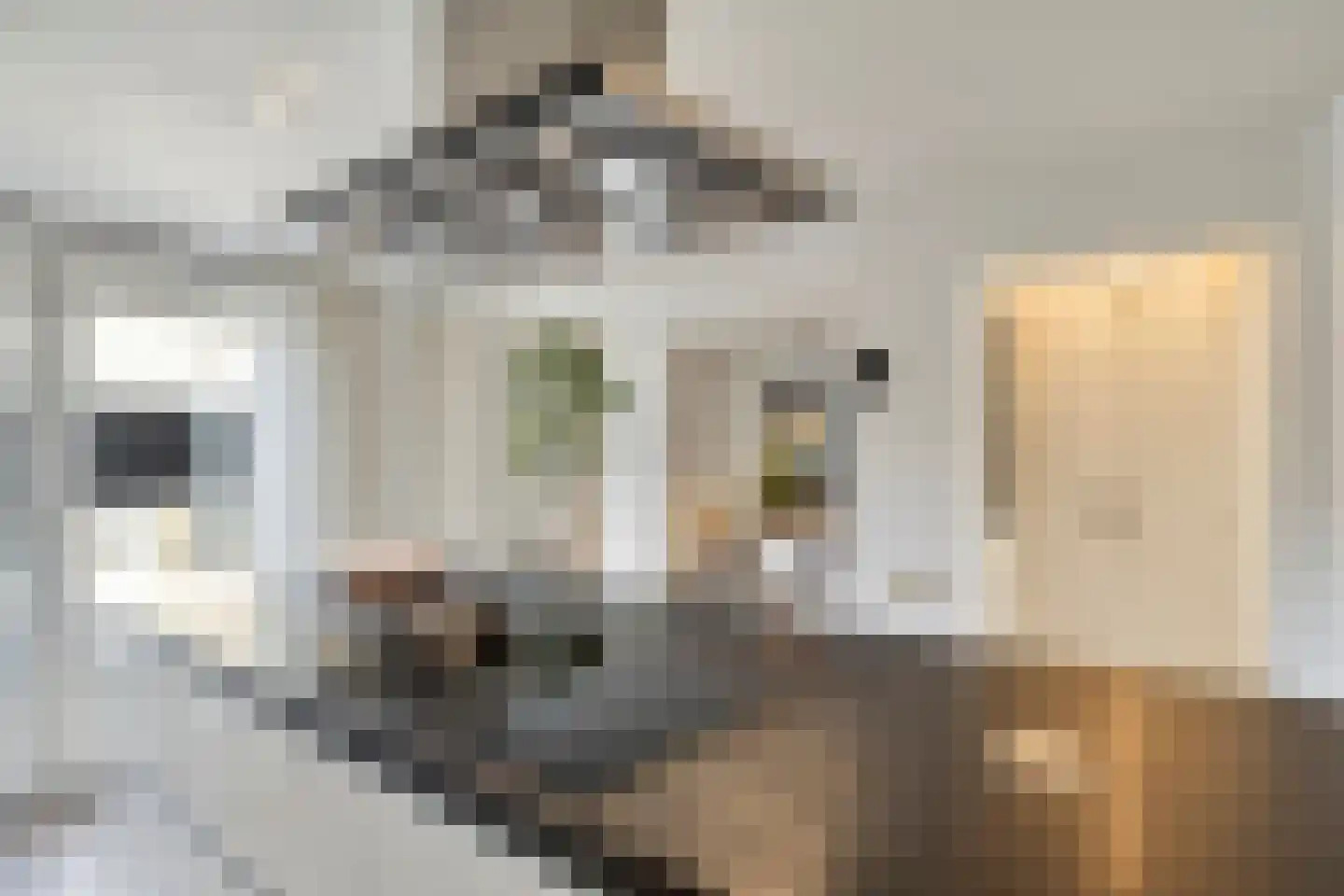 Molenstraat Noord 11 Stevensweert thumbnail 19