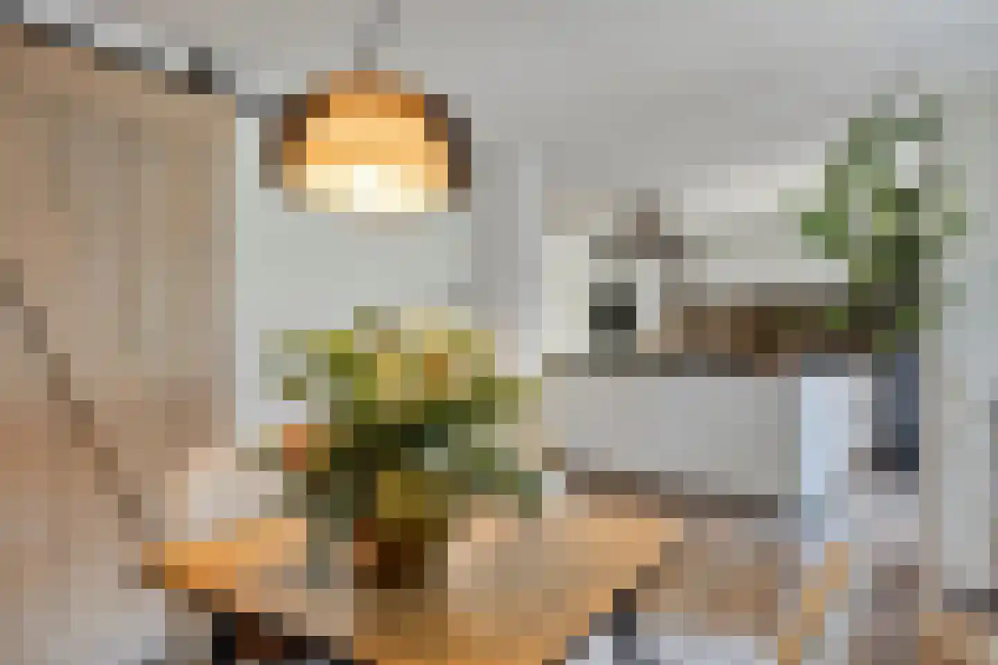 Molenstraat Noord 11 Stevensweert foto 3