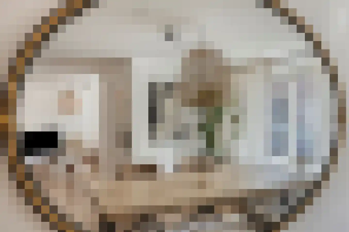 Molenstraat Noord 11 Stevensweert thumbnail 9