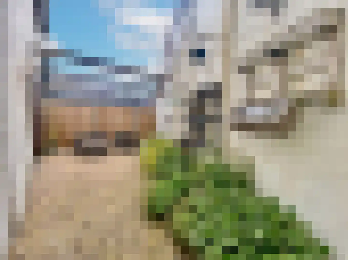 Molenstraat Noord 2 c Stevensweert thumbnail 10