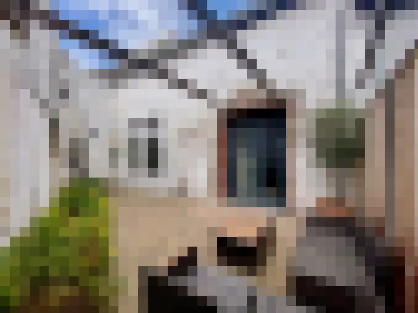 Molenstraat Noord 2 c Stevensweert thumbnail 11